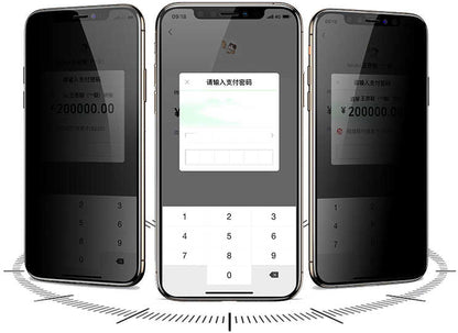 iPhone 12 Pro Max Uyumlu Davin 5d Privacy Cam Mnc Ekran Koruyucu