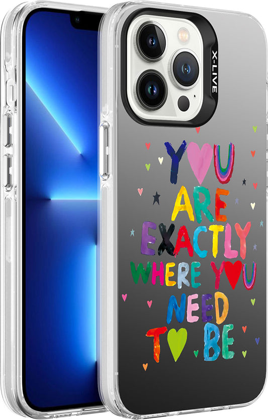 Apple iPhone 13 Pro Kılıf Desenli Mnc Silver Sert Kapak-You