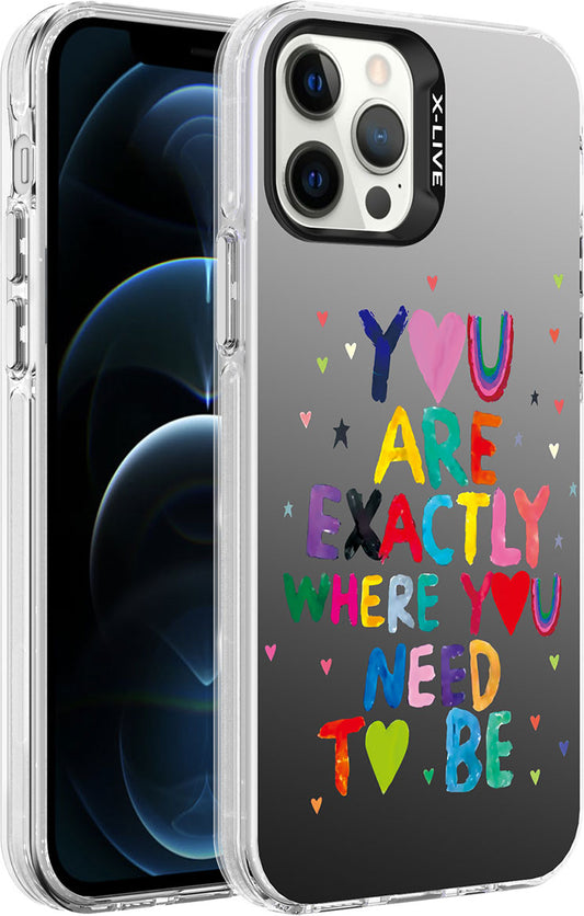 Apple iPhone 12 Pro Max Kılıf Desenli Mnc Silver Sert Kapak-You